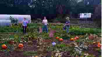 Horticulture help volunteers