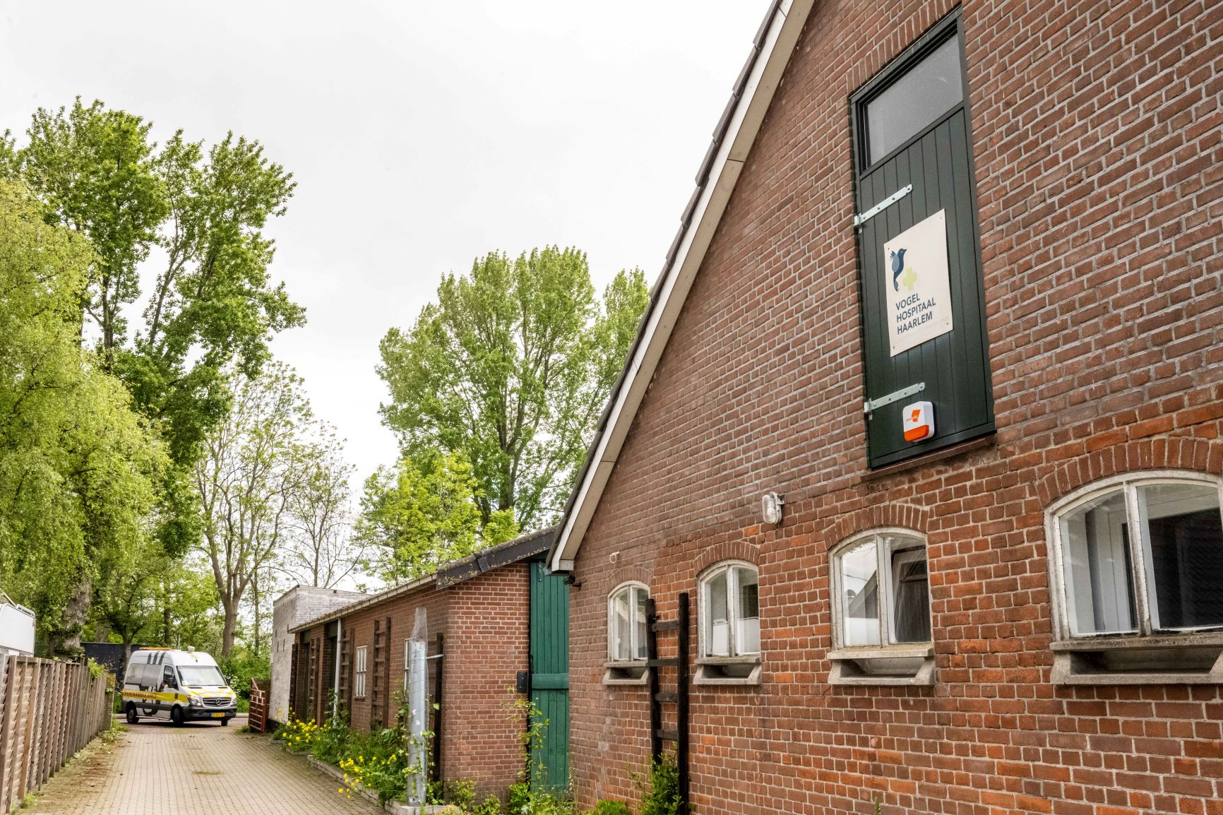 Meewerkend voorman klusteam