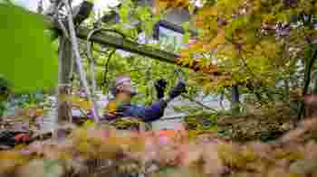 Tuinvrijwilligers gezocht!