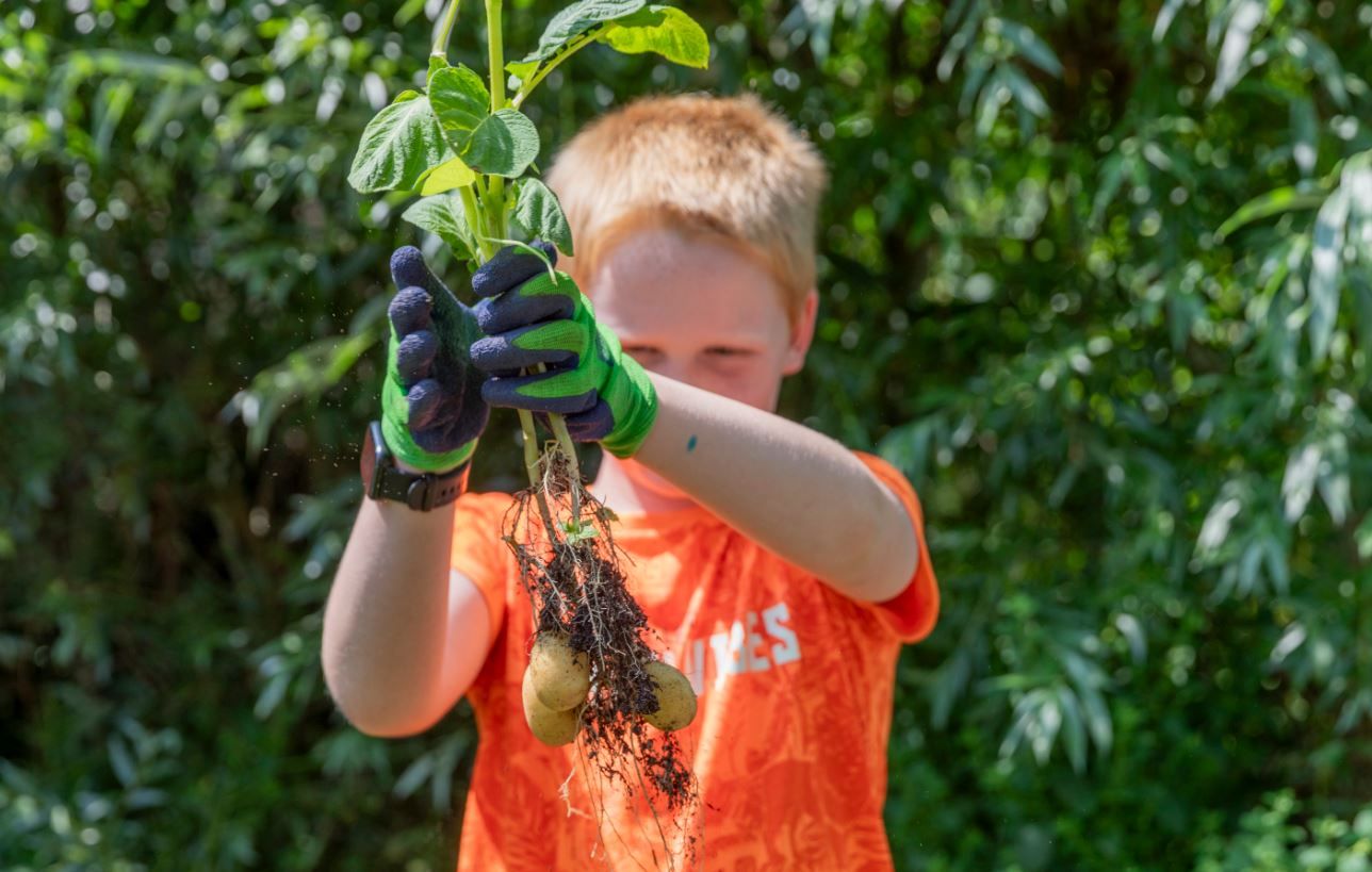 Moestuinvrijwilligers gezocht!