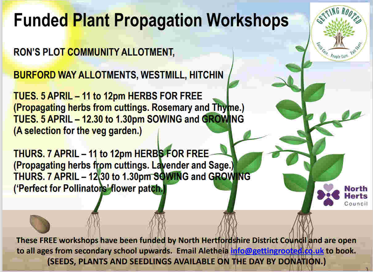 Funded Plant Propagation Workshops