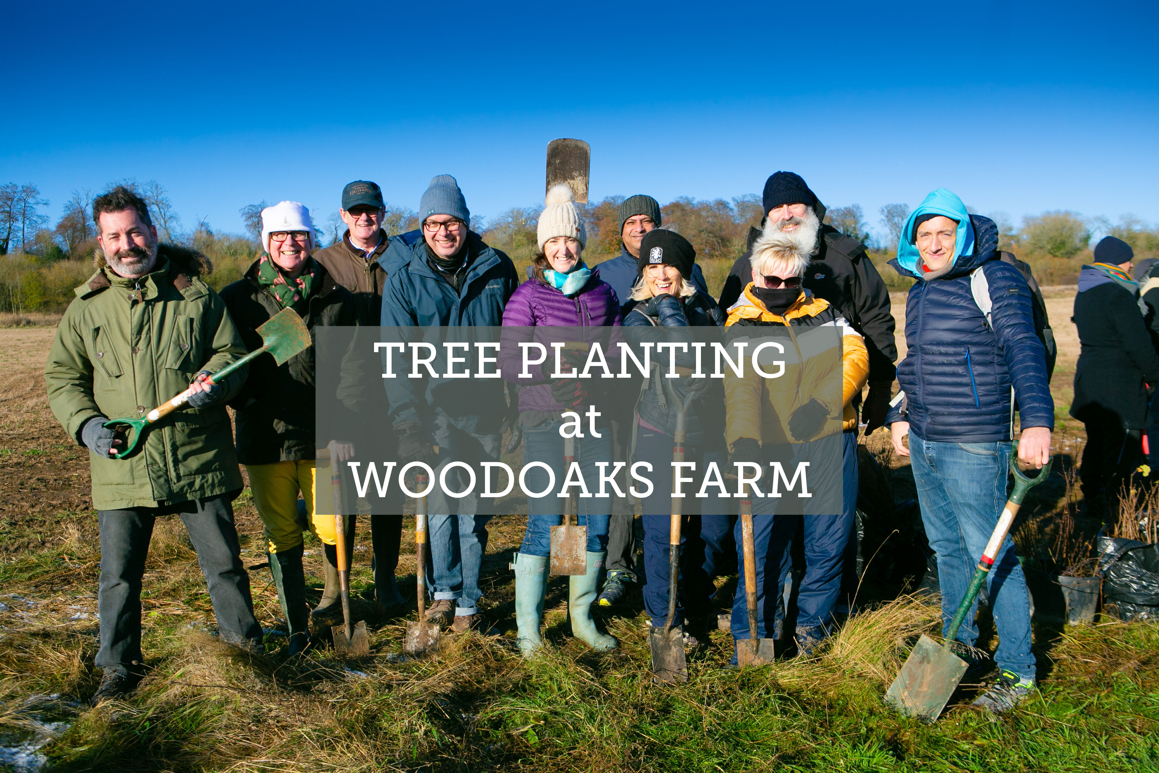 Tree Planting at Woodoaks Farm Maple Cross 