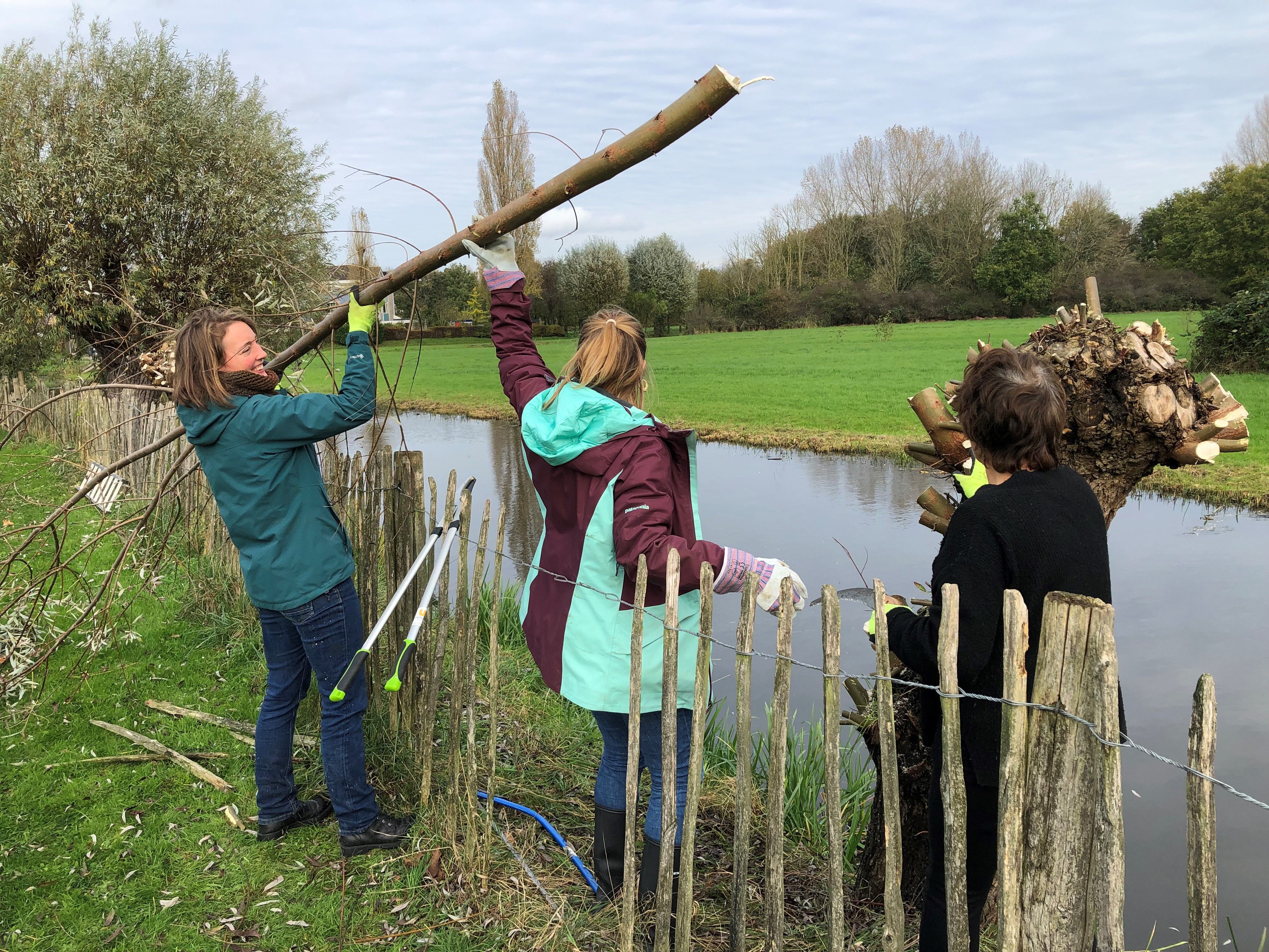 Help je mee ons groen verzorgen?