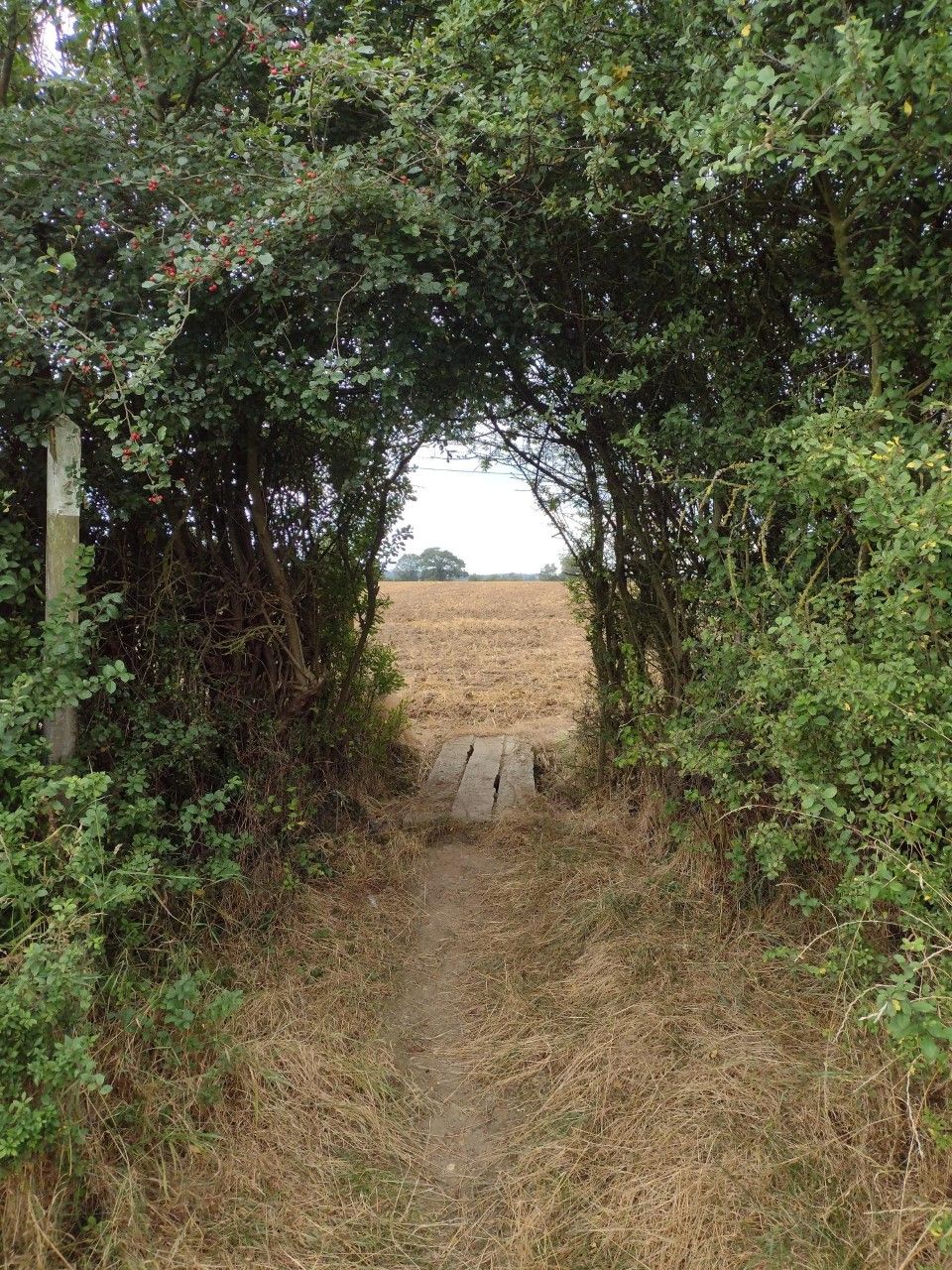 Rights of Way Parish Surveyor