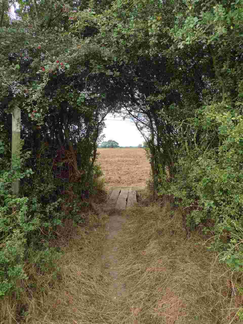 Rights of Way Parish Surveyor