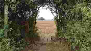 Rights of Way Parish Surveyor