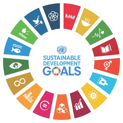 SDG's - Help make the world a better place! | BVSC