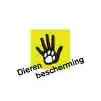 Dierenbuddy gezocht Glanerbrug. Enschede