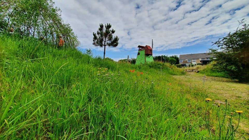 Vrijwilliger: Tuin&Kantine onderhoud