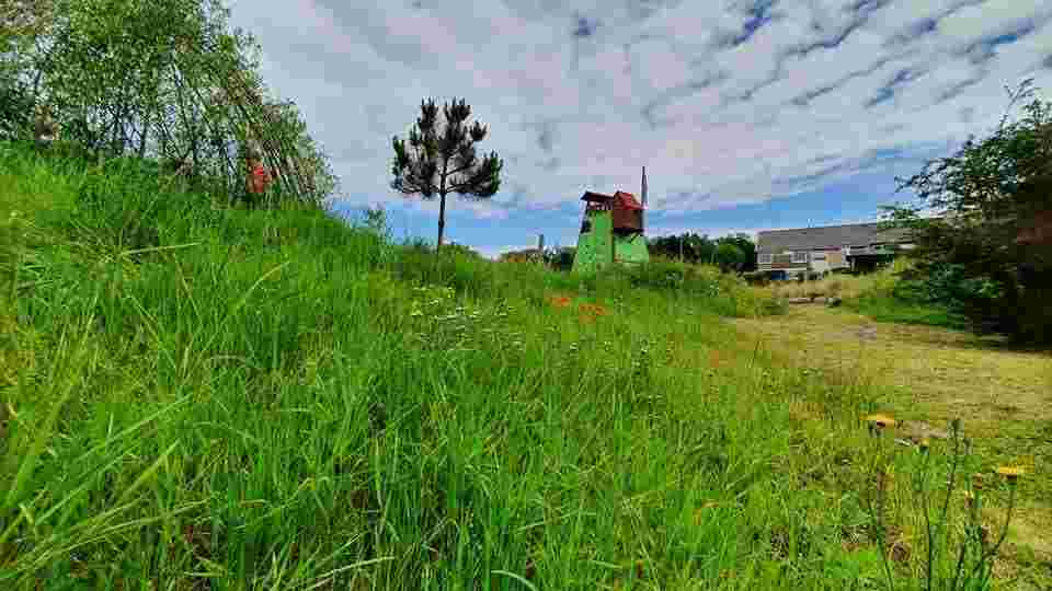 Vrijwilliger: Tuin&Kantine onderhoud