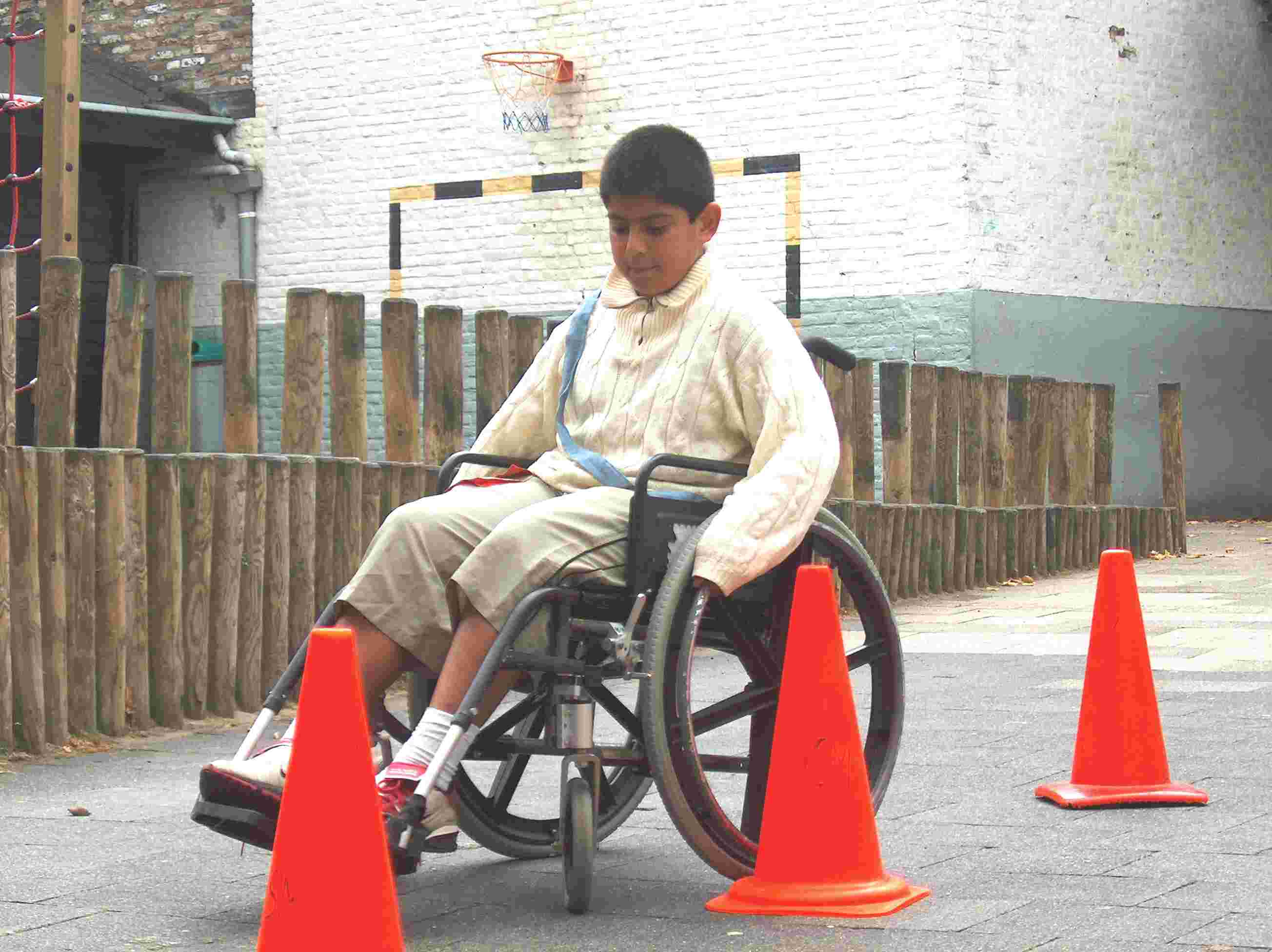 Begeleider van een schoolbezoeker