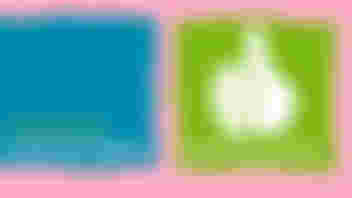 Digiwijs vrijwillige inzet goed geregeld nov- keurmerk