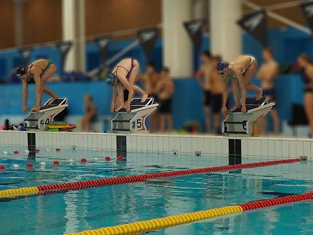 Gezocht: Voorzitter van het bestuur voor Zwemvereniging New Wave