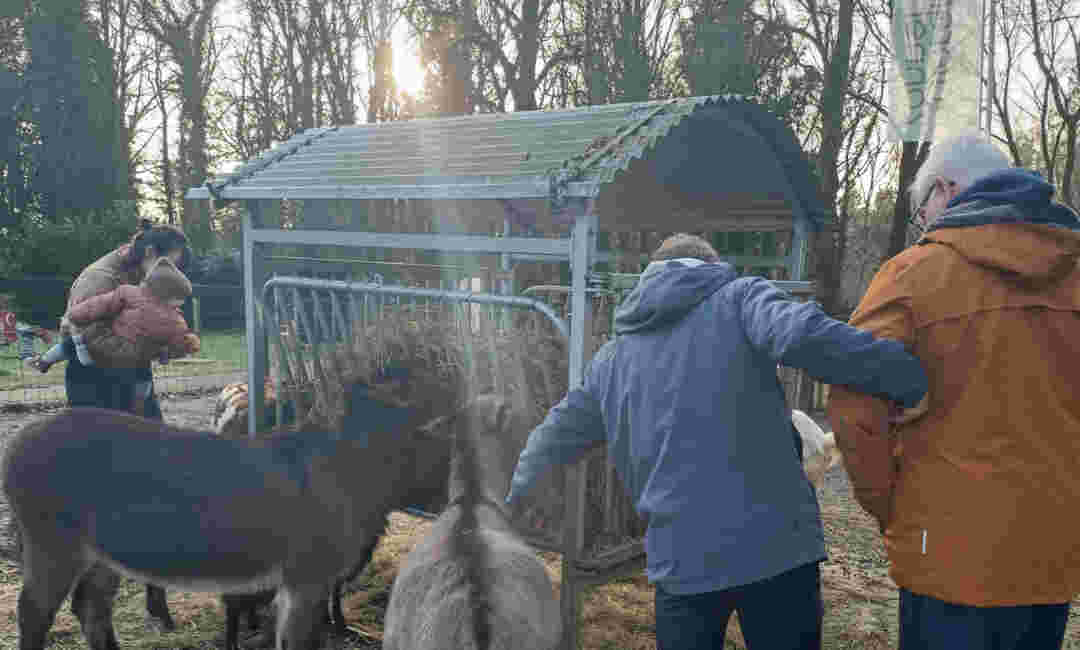 2 mannen die arm en arm lopen op de kinderboerderij