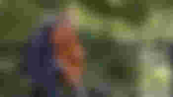 Word jij de nieuwe (Assistent) wandelcoach?