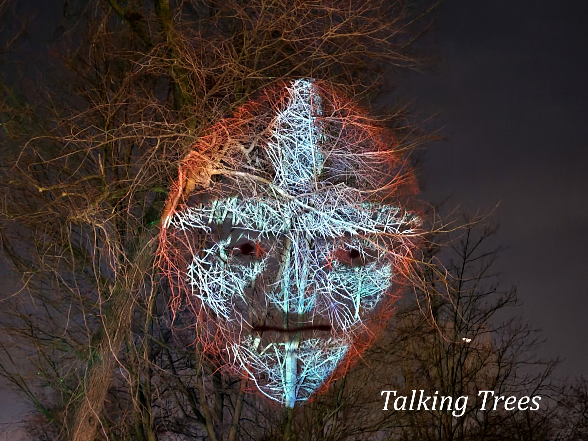 Vrijwilligers gezocht die bij de Talking Trees ons team willen versterken!