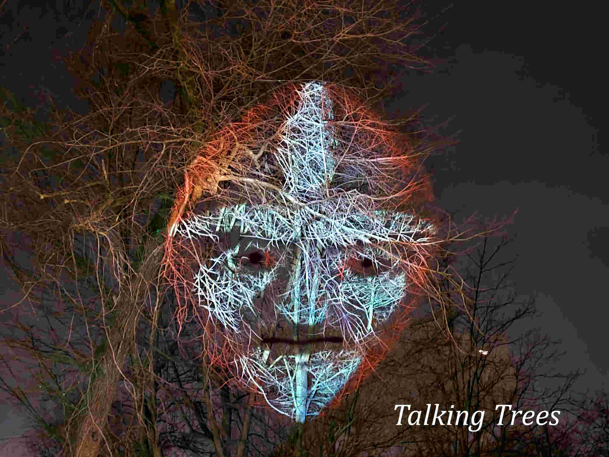 Vrijwilligers gezocht die bij de Talking Trees ons team willen versterken!