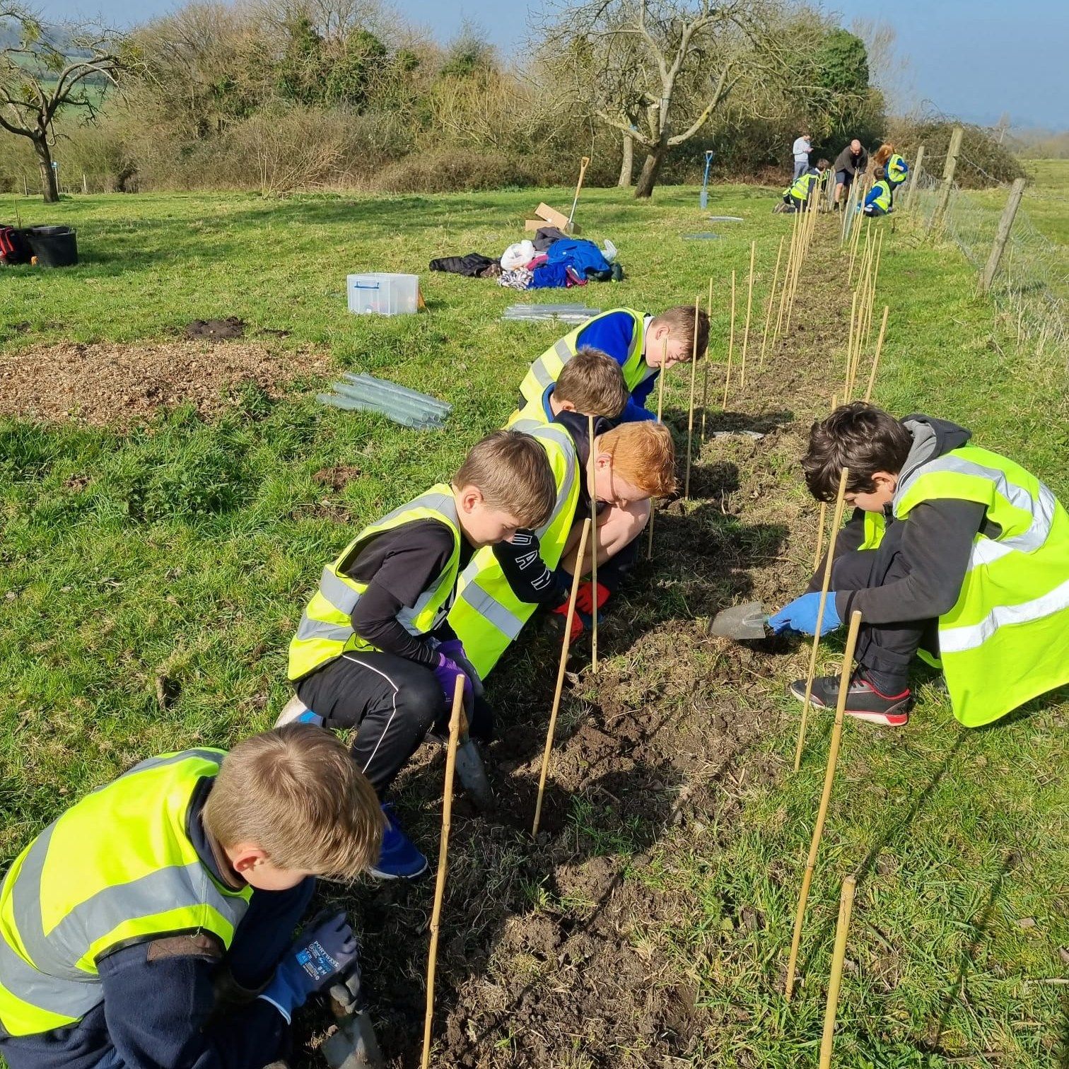 Orchard Restoration Project
