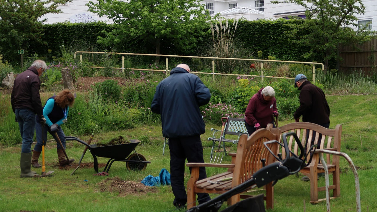 Gardening volunteer for our beautiful hospice gardens 