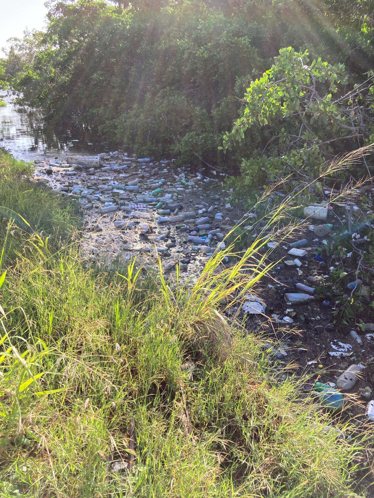 Cleanup of Zaegersgut Trenches