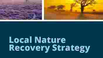 trees and landscape above Local Nature Recovery Strategy text