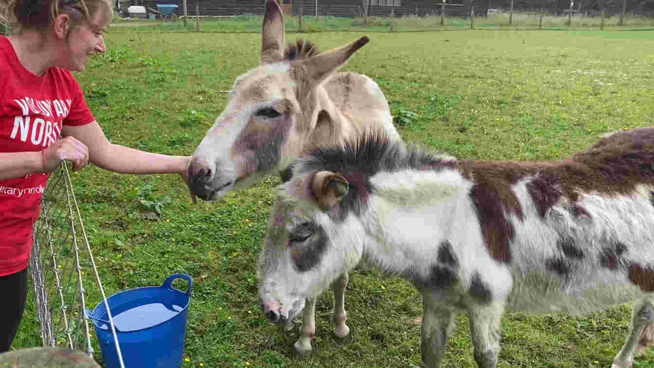 Photo of the Voluntary Norfolk Communities team