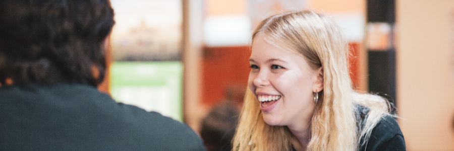 Work Experience / Placements