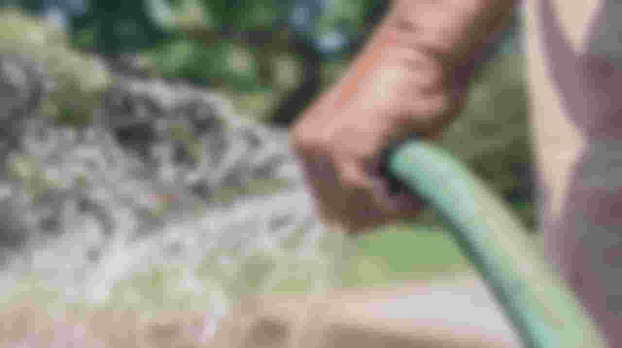 Lieve Grasgoeroe, Struikensheriff of Tuintovenaar: Kom ons alsjeblieft helpen!