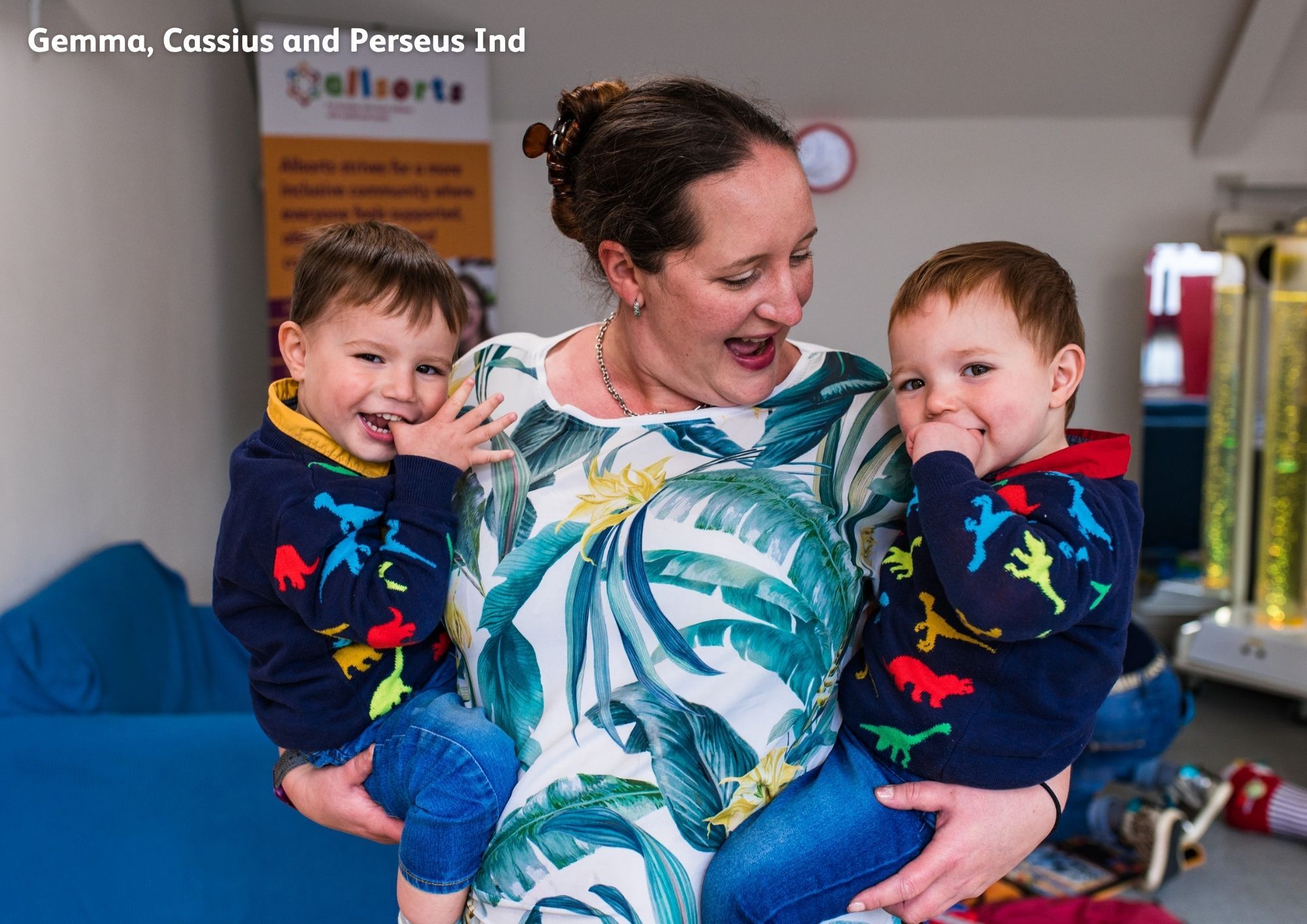 Event Support Volunteer