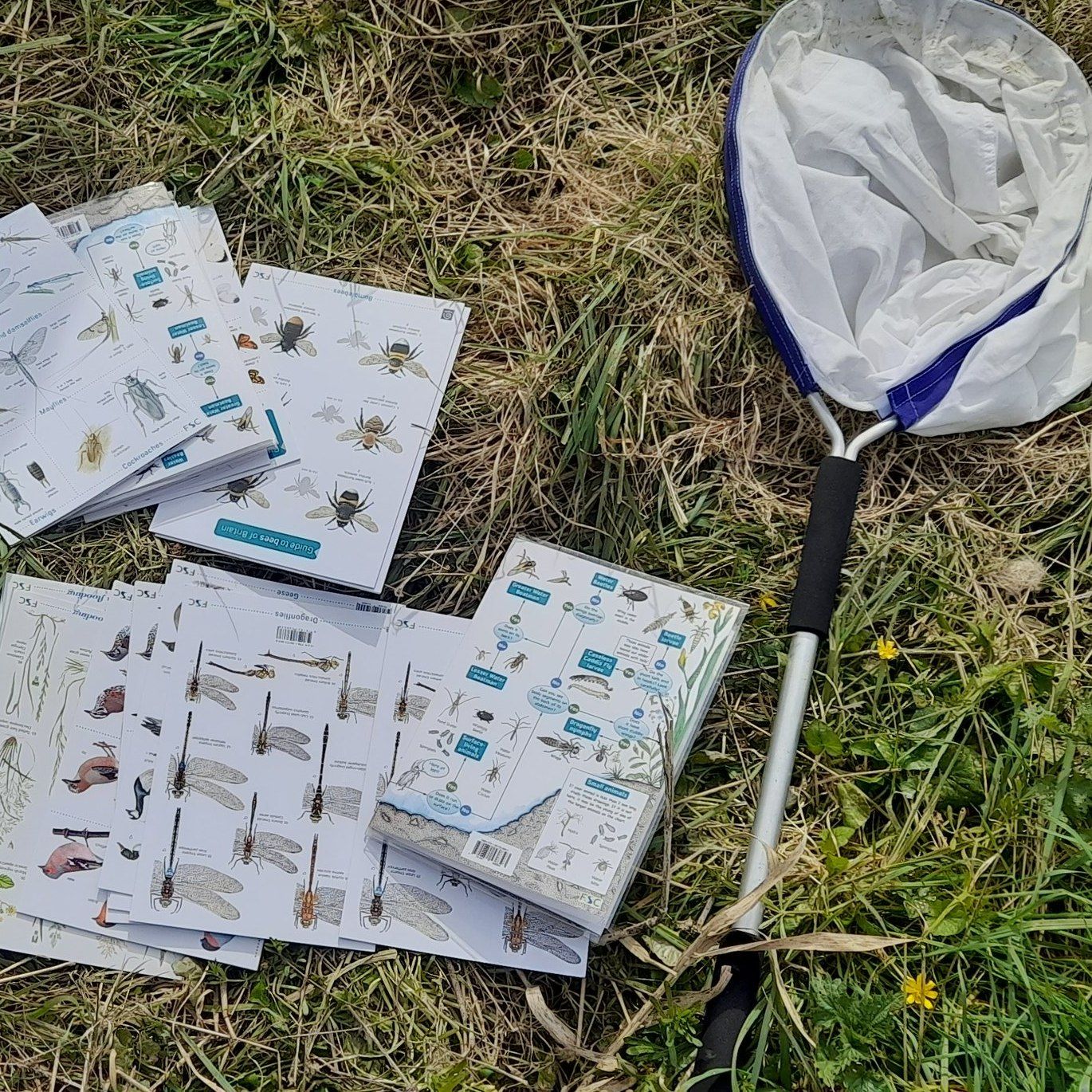 Outdoor Learning Volunteer