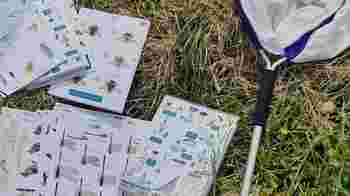 Outdoor Learning Volunteer