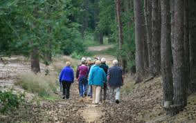 Gezocht: Coördinator wandelingen 