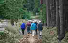 Gezocht: Coördinator wandelingen