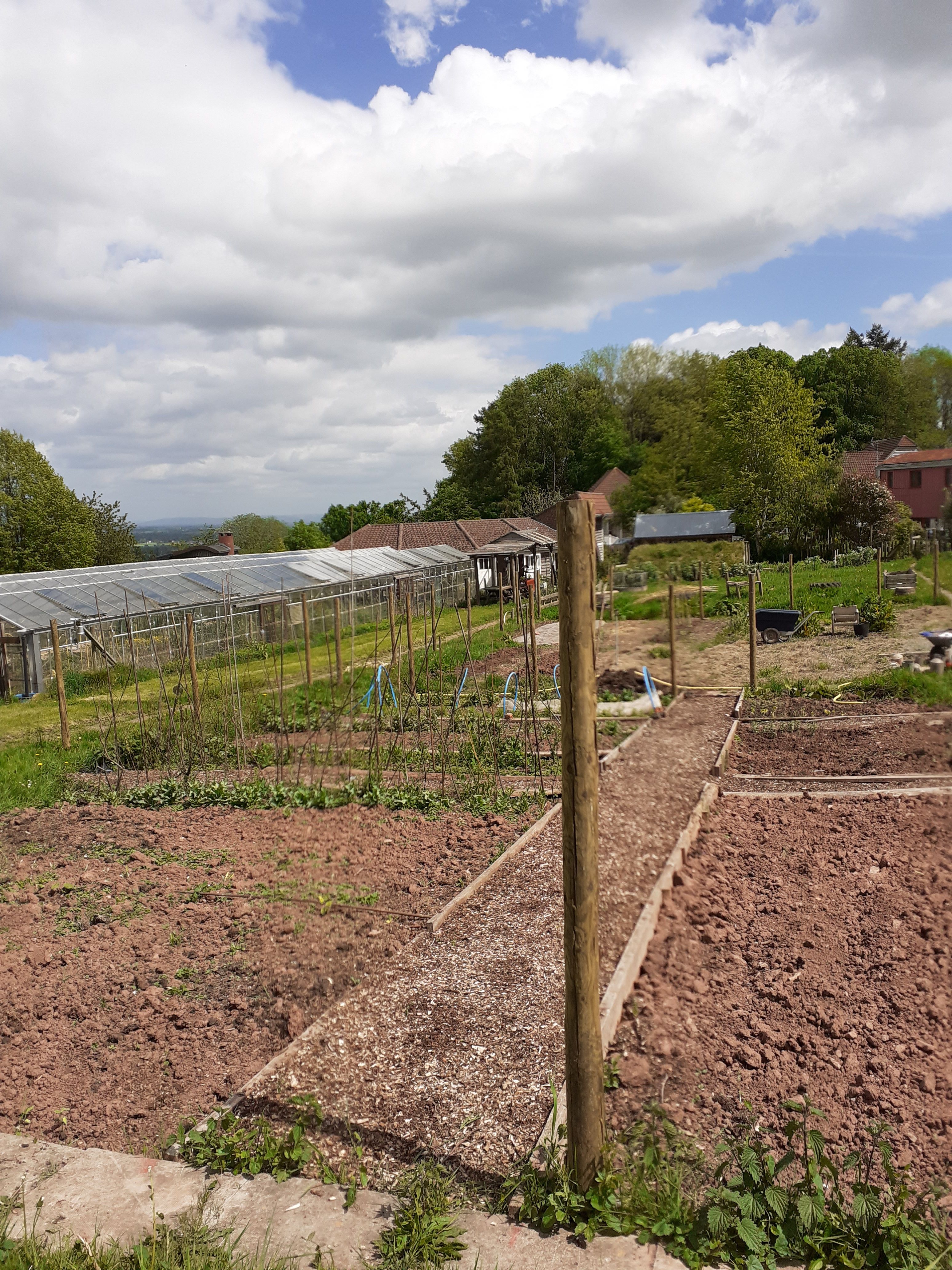 Grange  and Oaklands garden