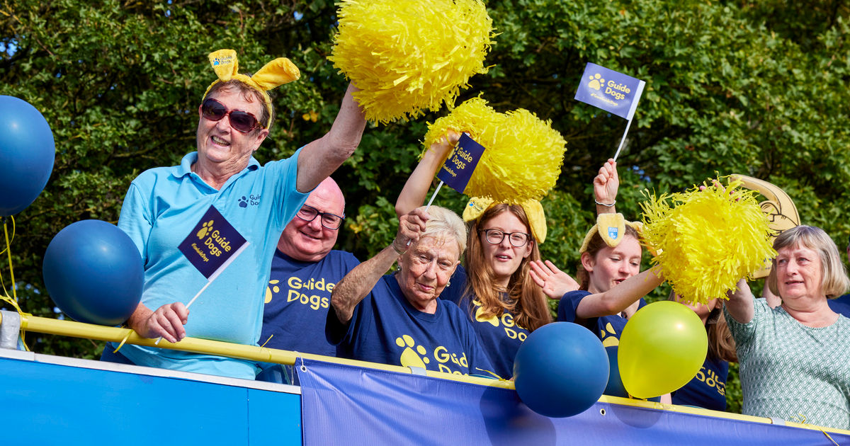 Fundraiser Volunteer