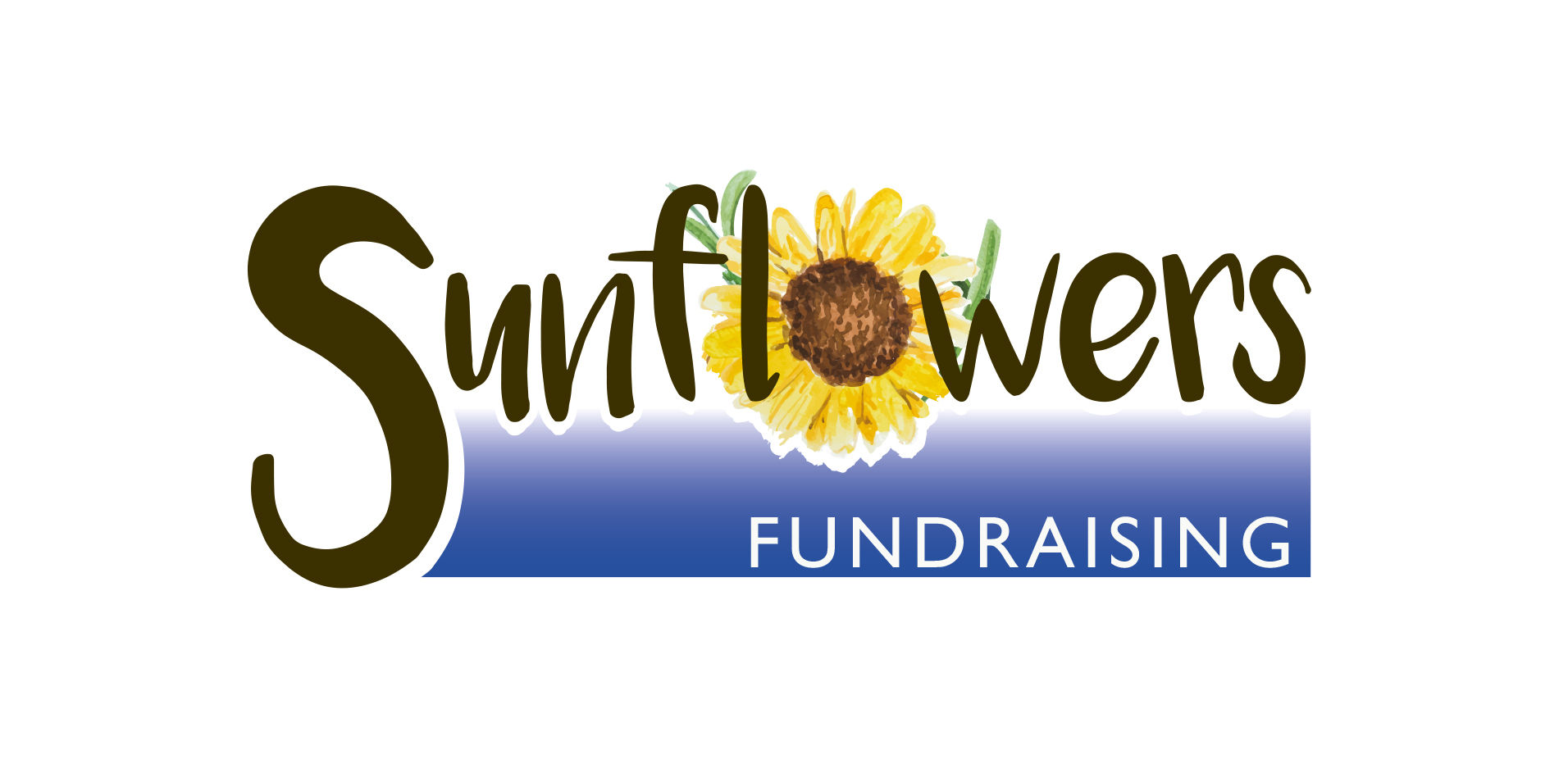 Volunteer Event Assistants