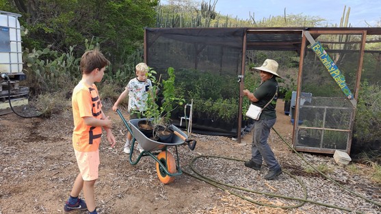 Ban Lanta y Planta 1