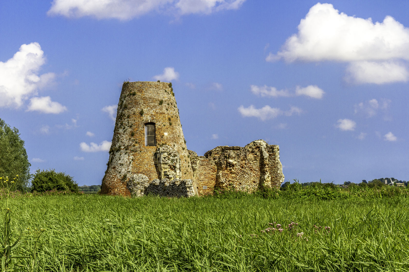 Social Media Content Creator