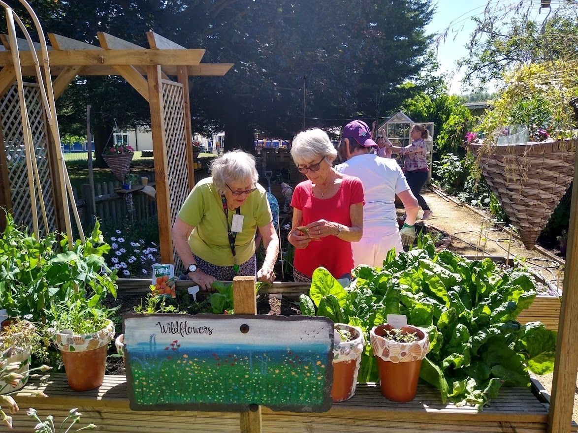 Garden Club Volunteer 