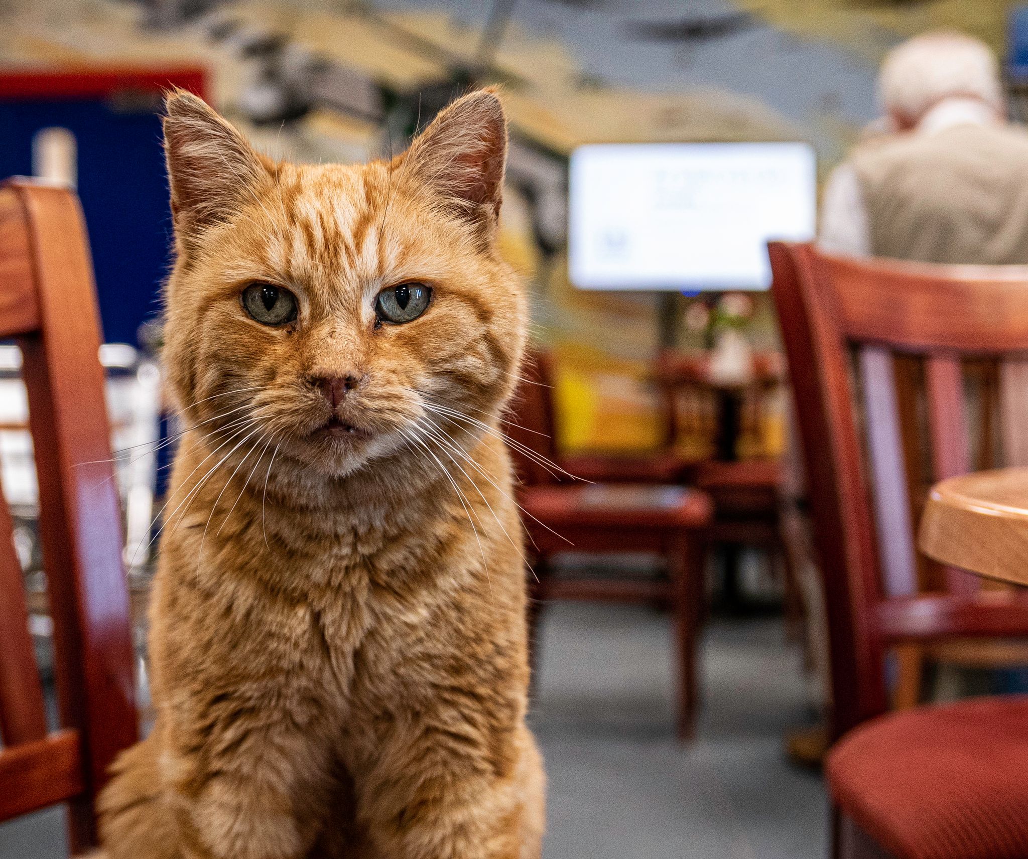 Funding - Development Coordinator