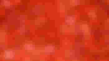 Lego Club Leader - Holt Library