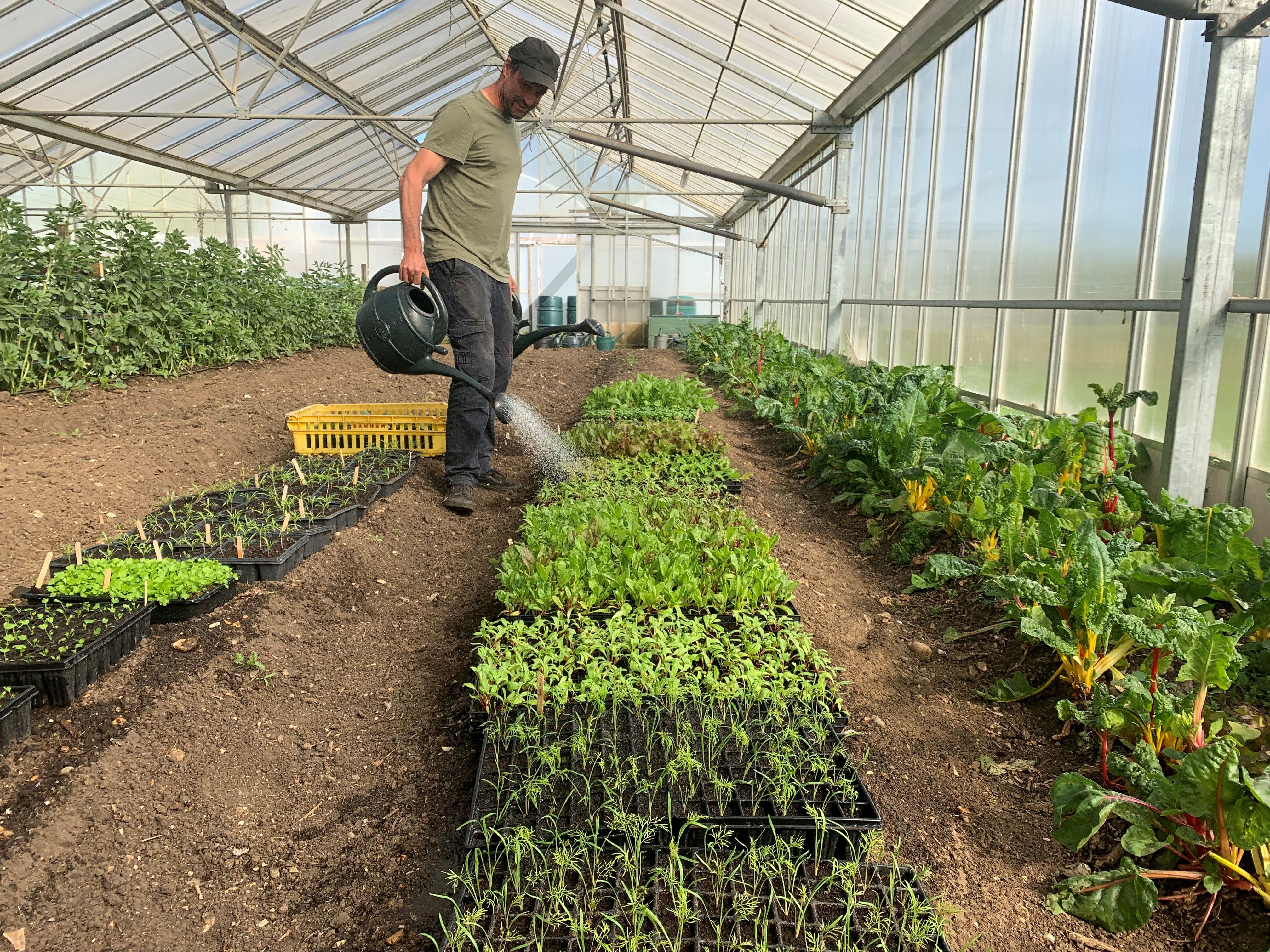 Live-in Biodynamic Trainee