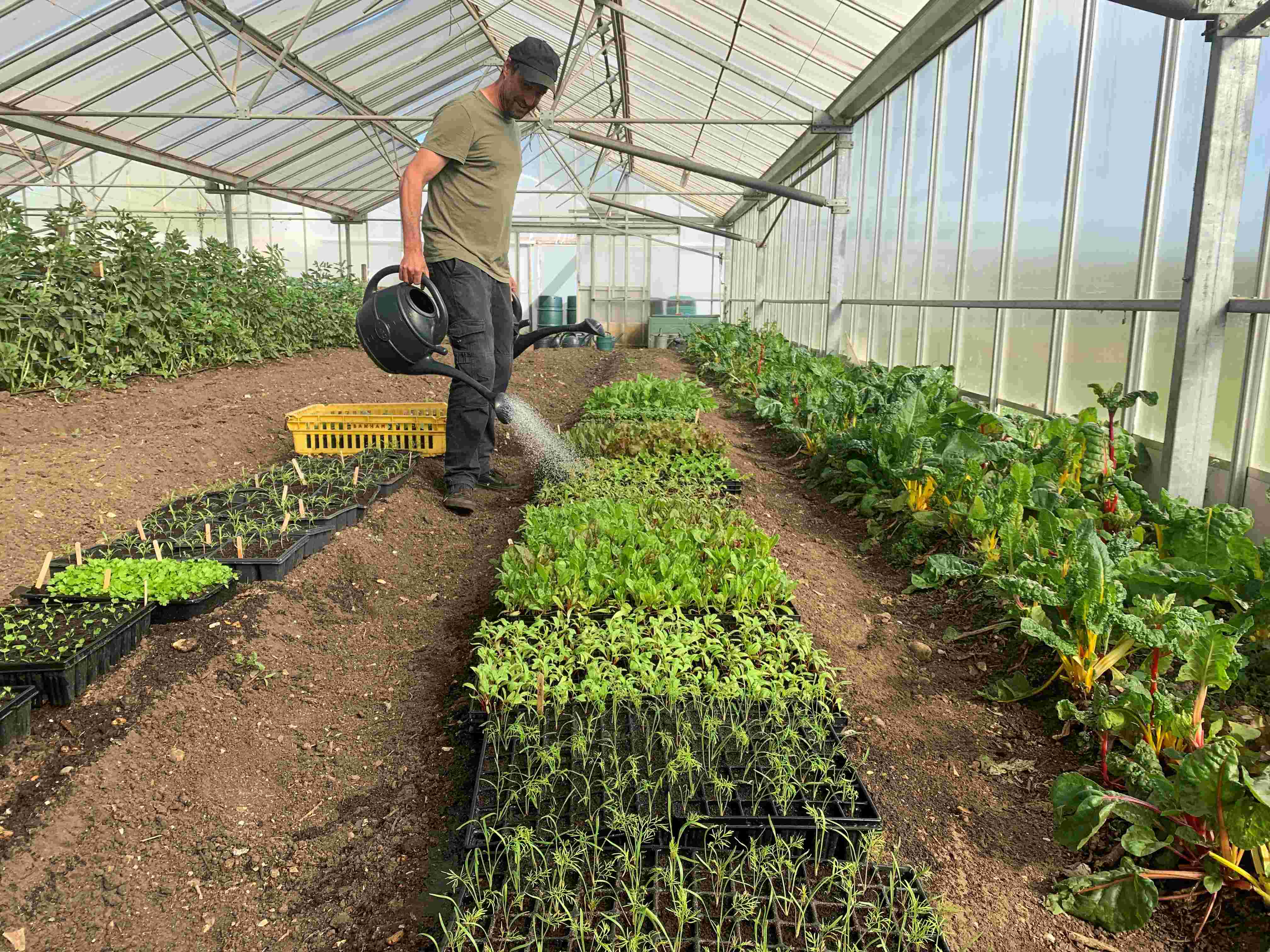 Live-in Biodynamic Trainee