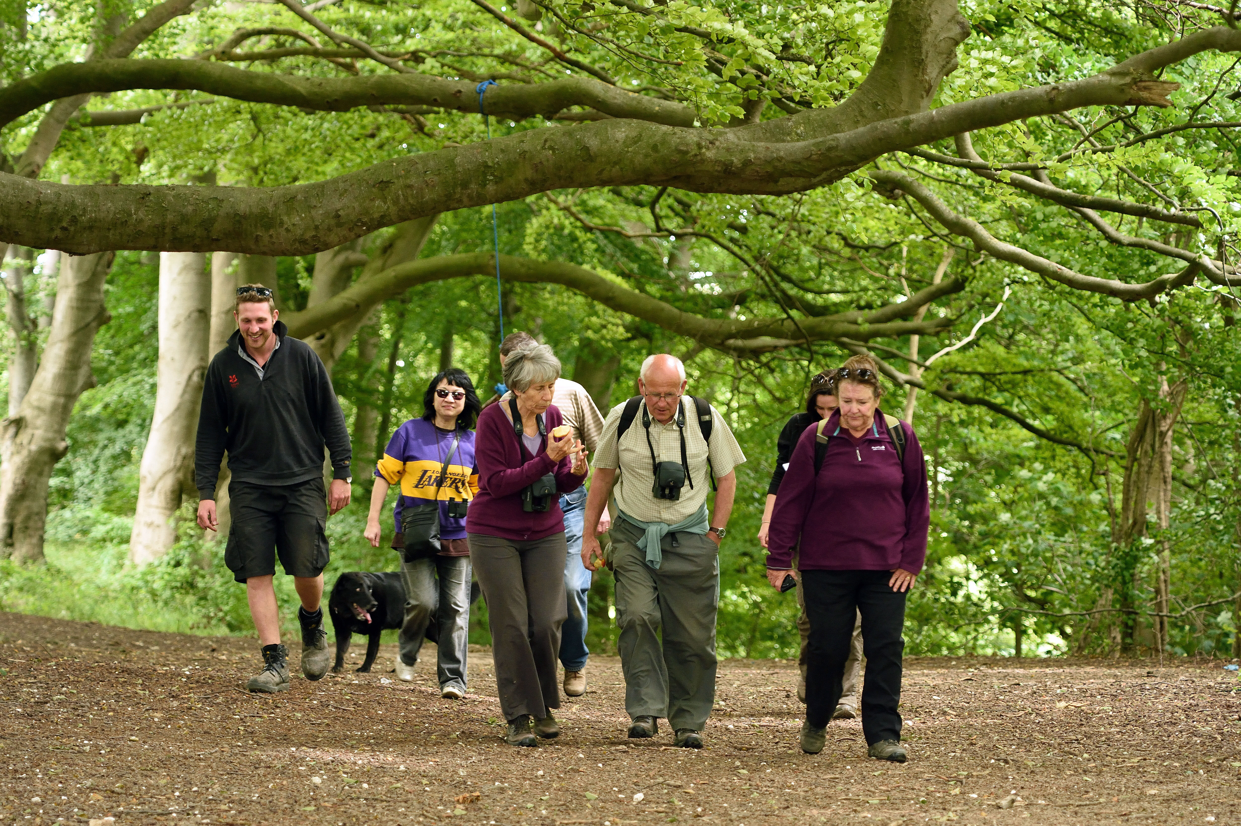 Community Walks Volunteer - Felbrigg Hall | Get InVOLved Norfolk