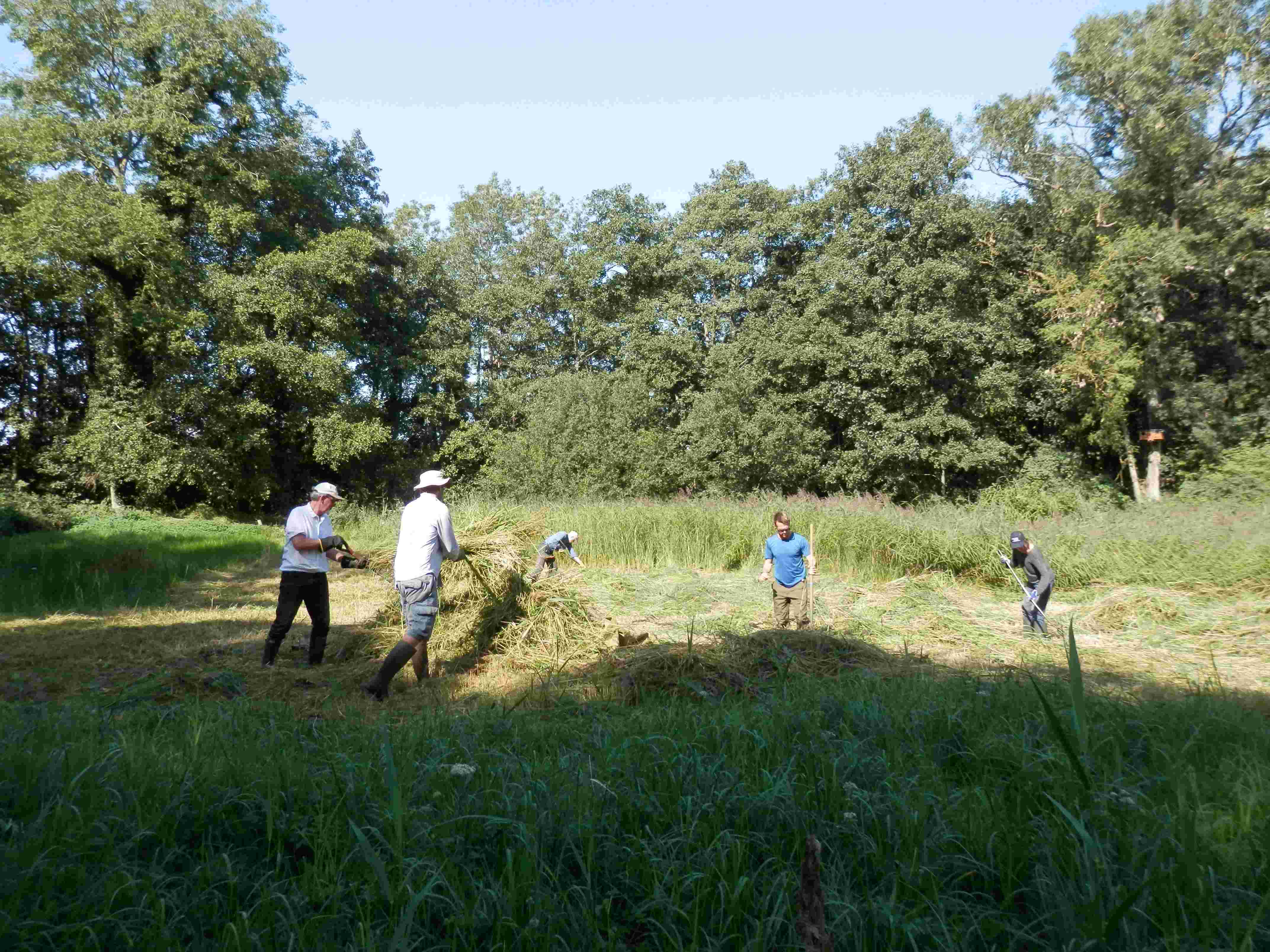 LOHP Practical Conservation Volunteer