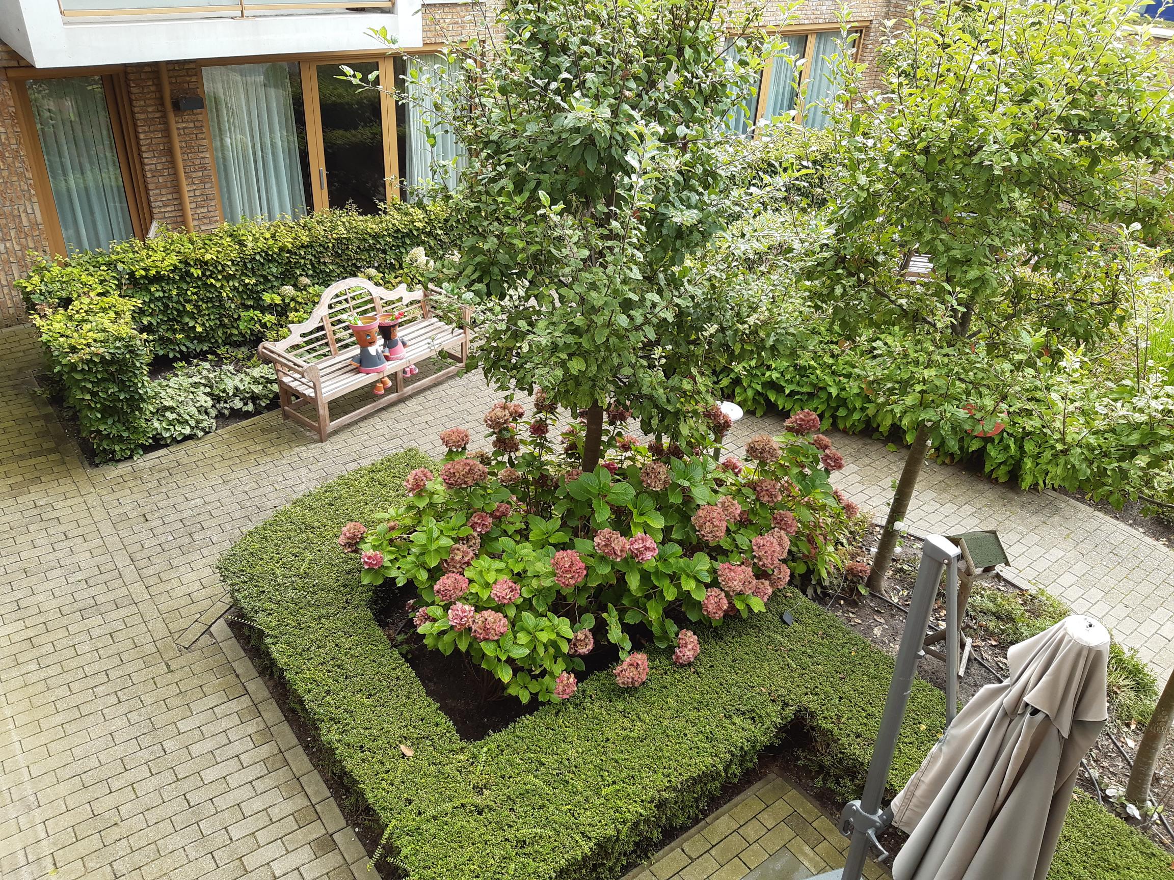 Groene vingers gezocht voor onze tuin!