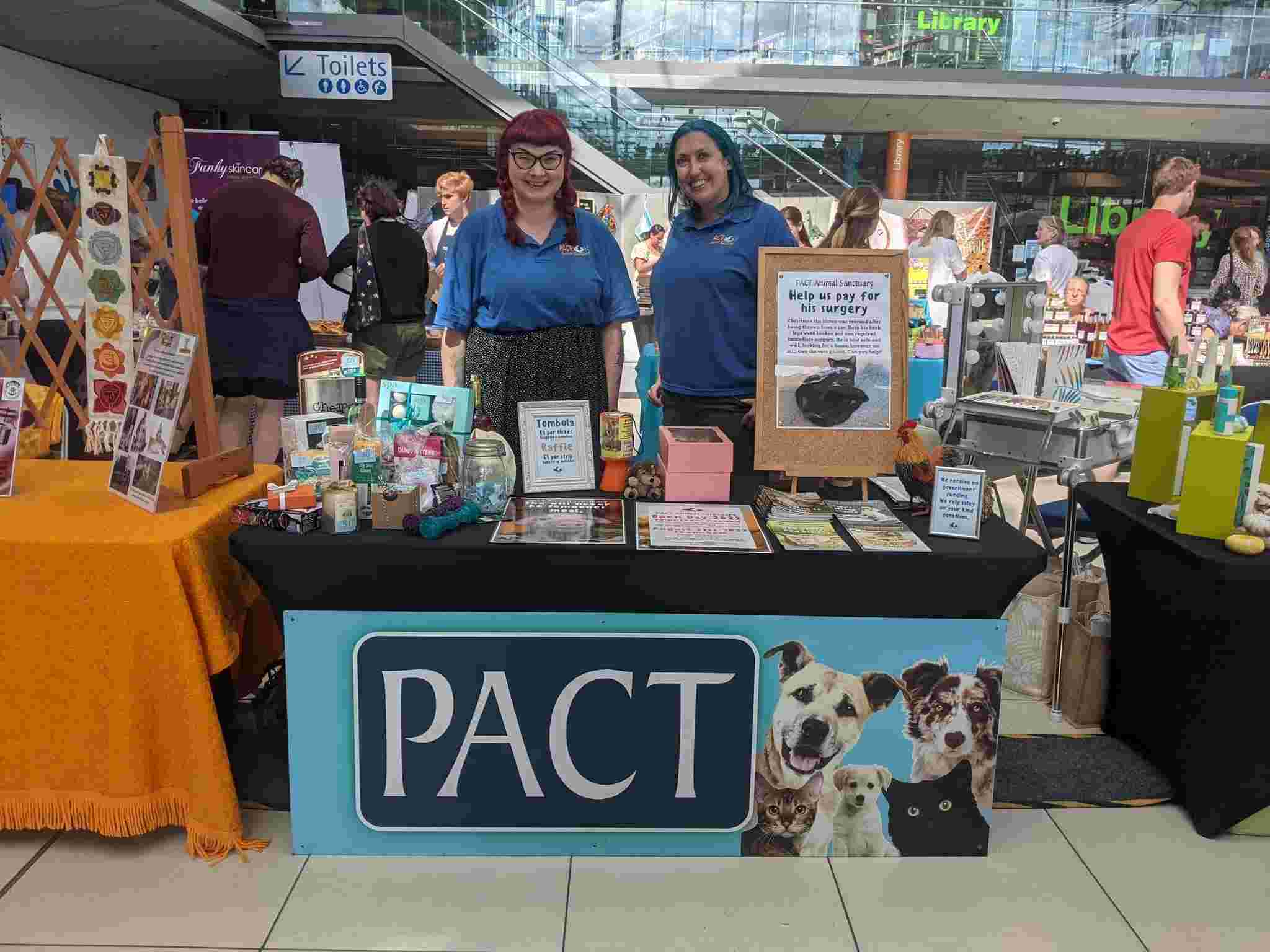 Fundraising Volunteer