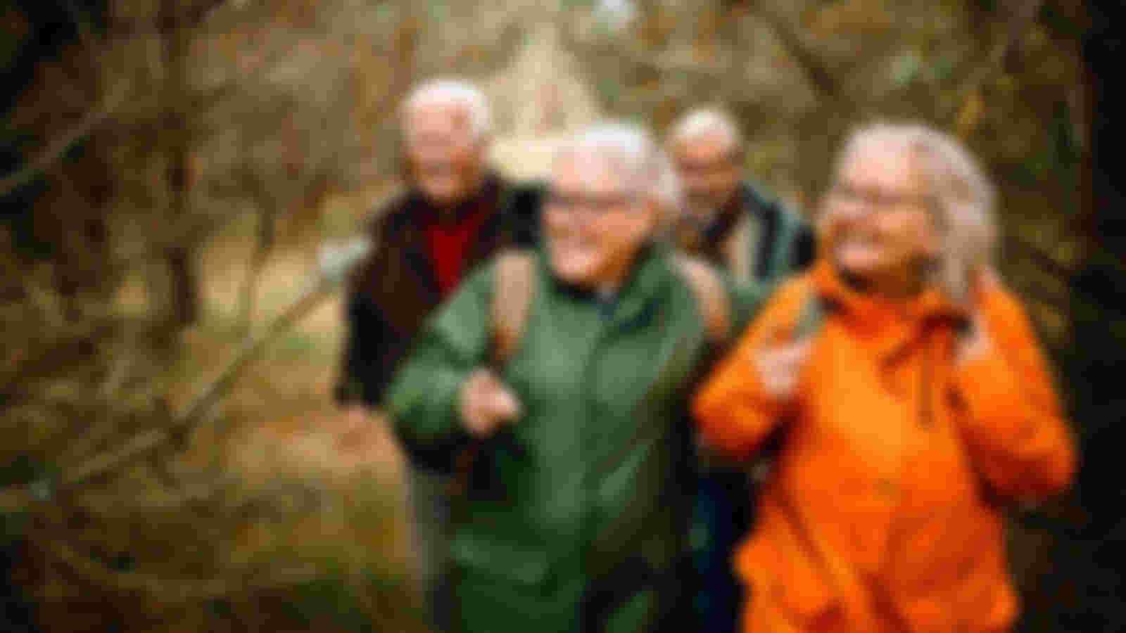 Walking guide for GA-Velsen