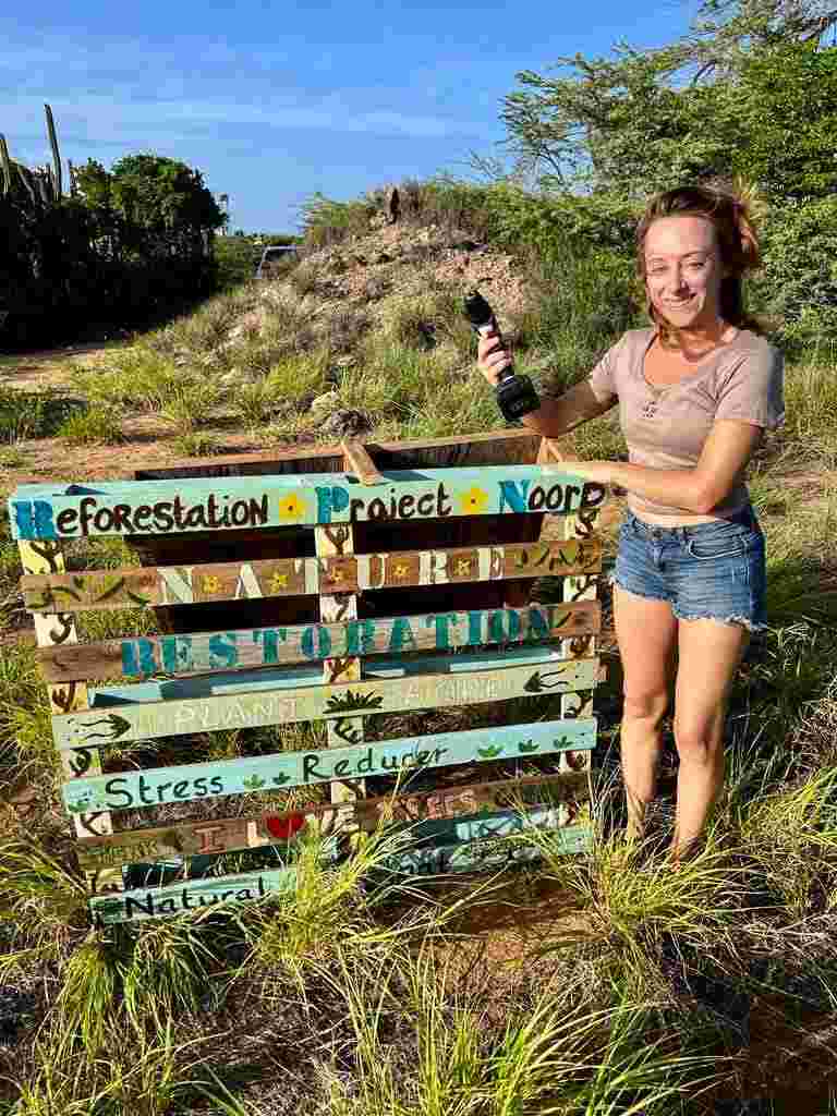 Weekly maintenance and forest management