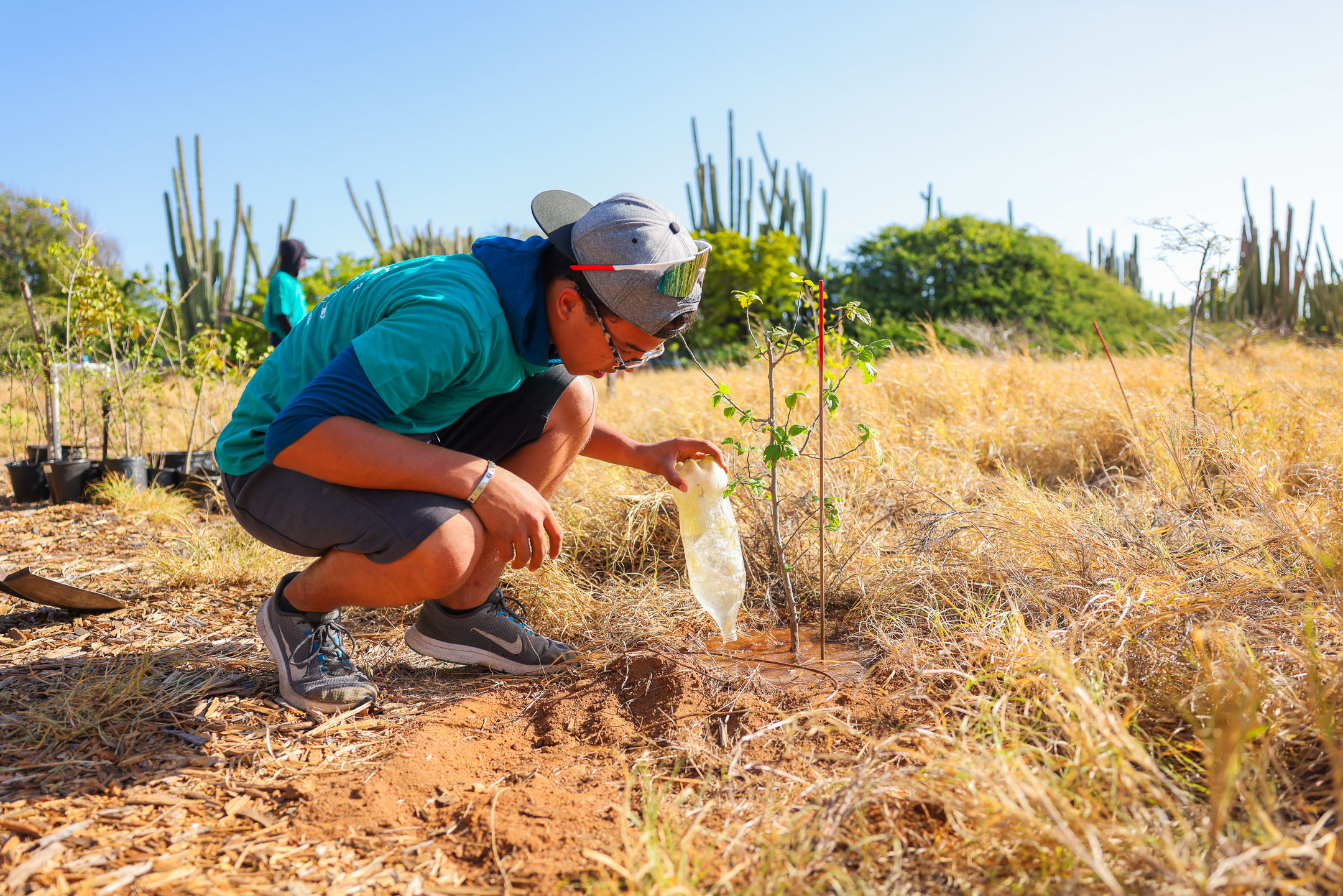 Would you like to help during the summer holidays?
